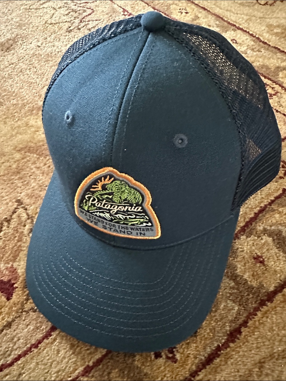 Patagonia Take A  Stand Trucker Hat